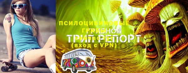 метамфетамин Алексин